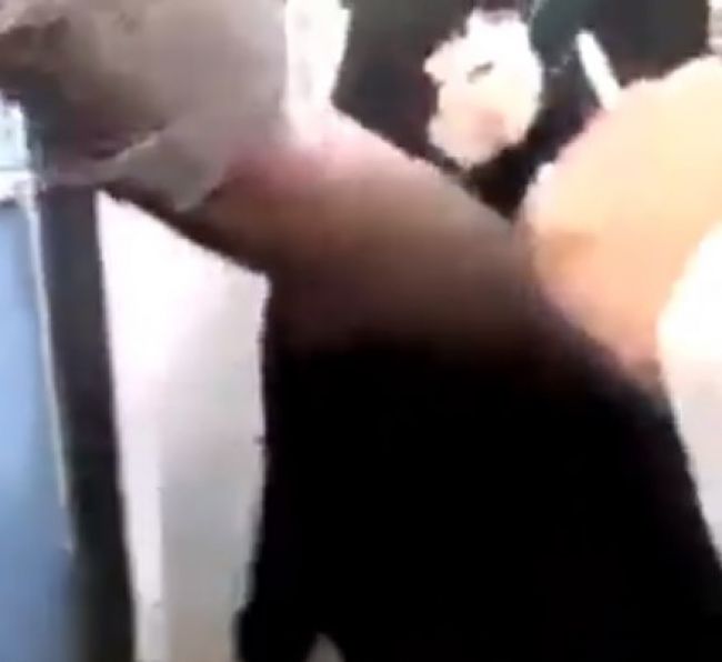 حوثي يصفع يمنية لإجبارها على فتح هاتفها.. فيديو يثير غضب اليمنيين (شاهد)