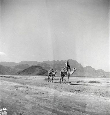 شاهد صورة نادرة من عدن عمرها نحو 100سنة