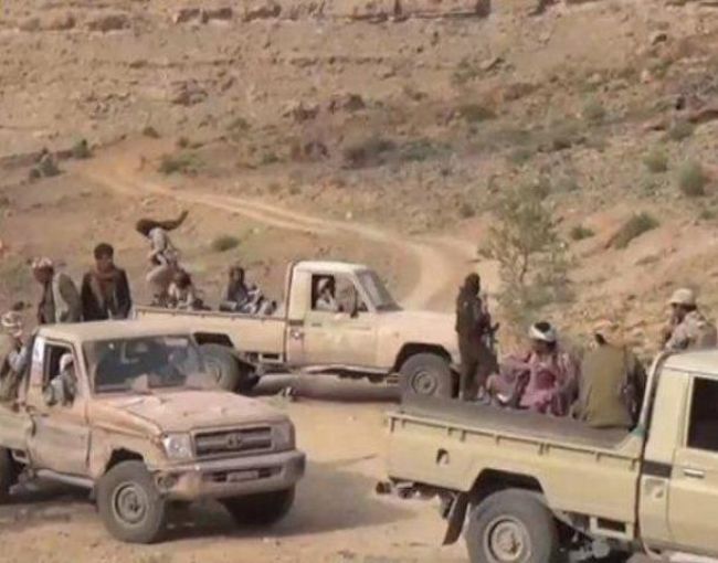 القوات الحكومية تلتحم بقوات هيثم قاسم وتؤمن طريق تعز المخا