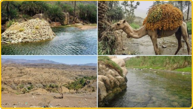 شاهد صور لمناظر طبيعية تفوق الخيال من أحدى المناطق المحررة غرب تعز