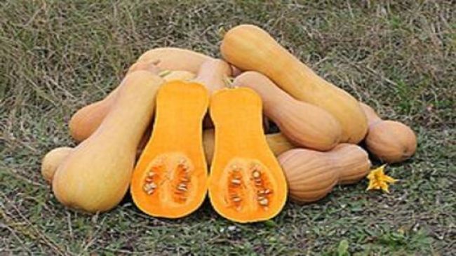 مادة غذائية تساعد على تخفيض ضغط الدم