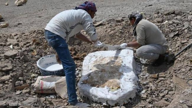 حدث في مصر.. كشف أسرار الحياة في إفريقيا قبل 70 مليون عام
