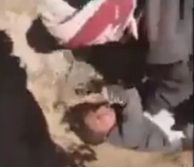 مجرمون في أرحب بصنعاء يوثقون بالفيديو جريمتهم بحق طفل في مزرعة وهكذا كانت النهاية