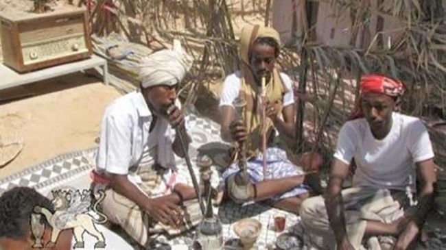 عمره يتجاوز 500 عام.. «الدان» الحضرمي ينتظر اعتراف «اليونسكو»