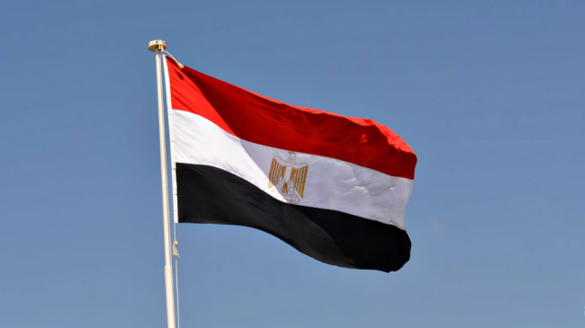 "من رئيس مصر القادم؟".. رجل الأعمال المصري أشرف السعد يرد على علاء مبارك (فيديو)